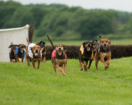Berks and Bucks  (474 of 876)