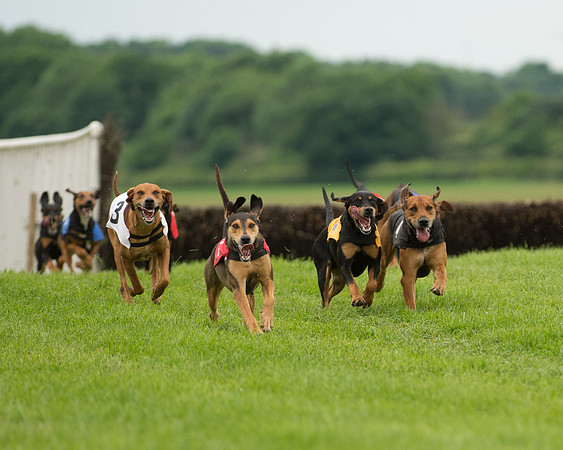 Berks and Bucks  (475 of 876)