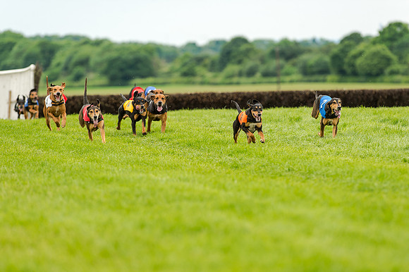 Berks and Bucks  (476 of 876)