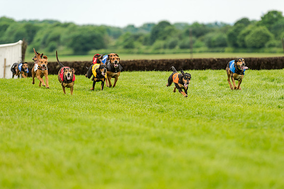 Berks and Bucks  (477 of 876)