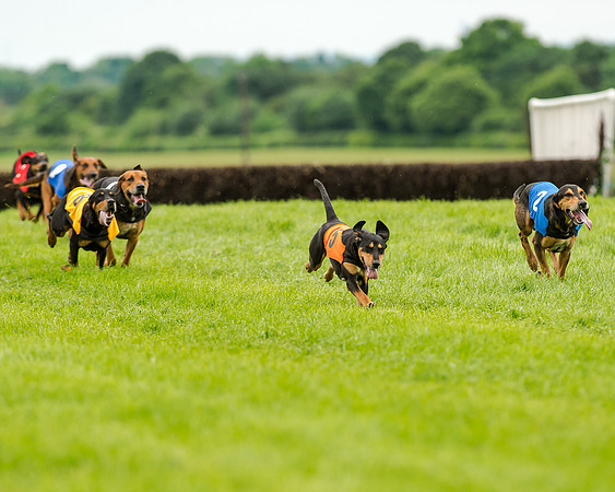 Berks and Bucks  (478 of 876)