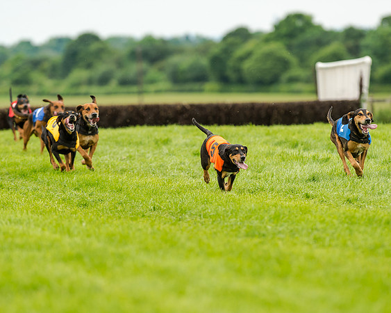 Berks and Bucks  (479 of 876)