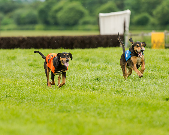 Berks and Bucks  (480 of 876)