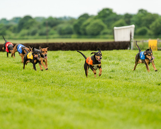 Berks and Bucks  (481 of 876)