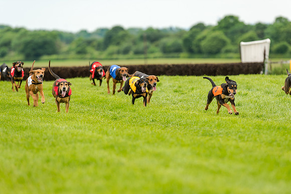 Berks and Bucks  (482 of 876)