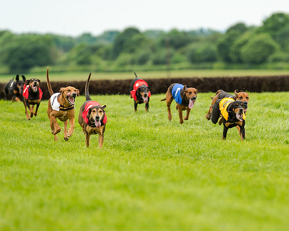 Berks and Bucks  (483 of 876)