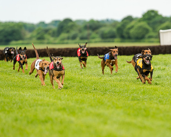 Berks and Bucks  (485 of 876)