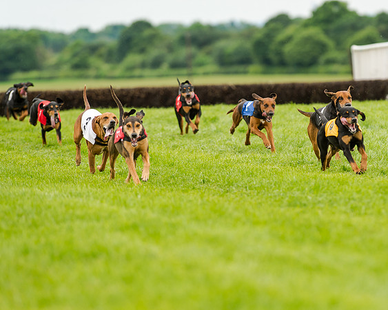 Berks and Bucks  (486 of 876)