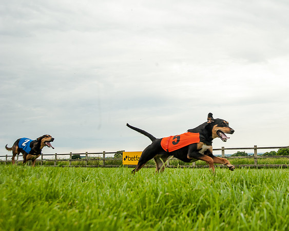 Berks and Bucks  (492 of 876)