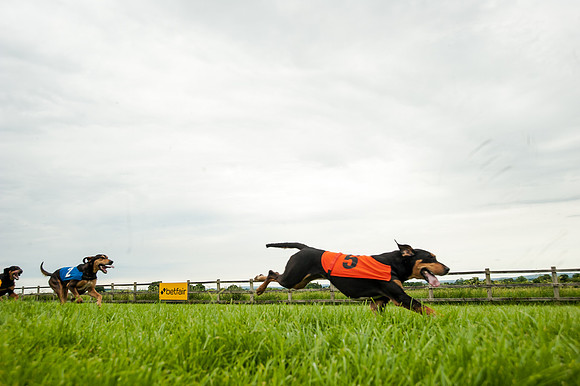 Berks and Bucks  (493 of 876)
