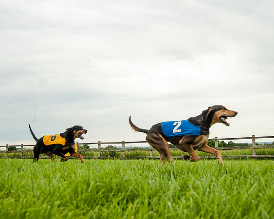Berks and Bucks  (494 of 876)