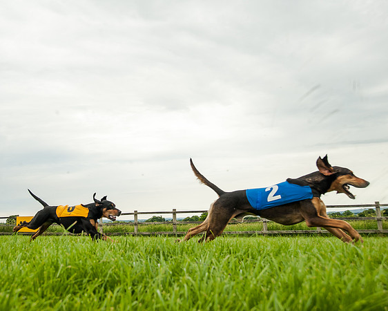Berks and Bucks  (495 of 876)