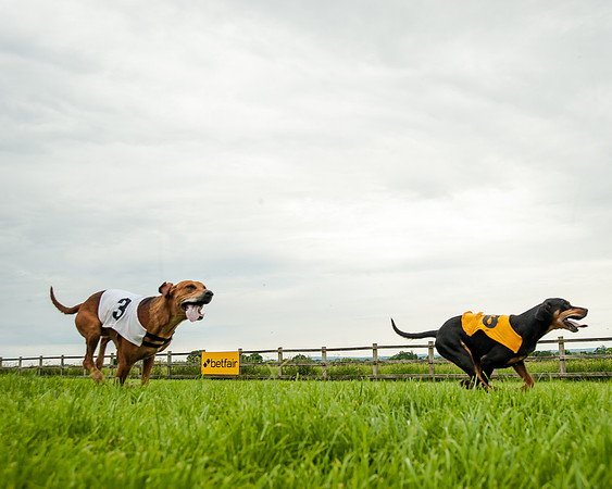 Berks and Bucks  (496 of 876)