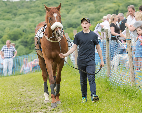 Berks and Bucks  (503 of 876)