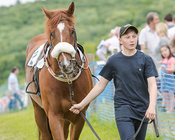 Berks and Bucks  (504 of 876)
