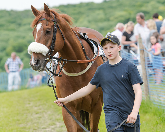 Berks and Bucks  (505 of 876)