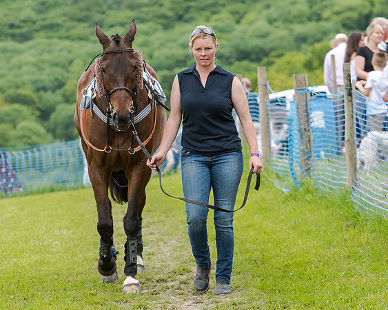 Berks and Bucks  (507 of 876)