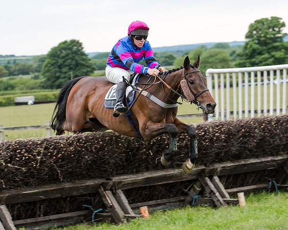 Berks and Bucks  (522 of 876)