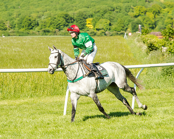 Anglo-Irish Night -  (257 of 675)
