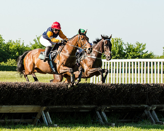 Anglo-Irish Night -  (269 of 675)