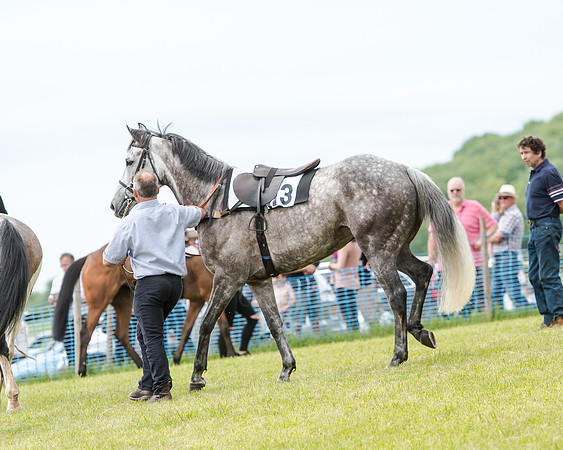 Berks and Bucks  (729 of 876)