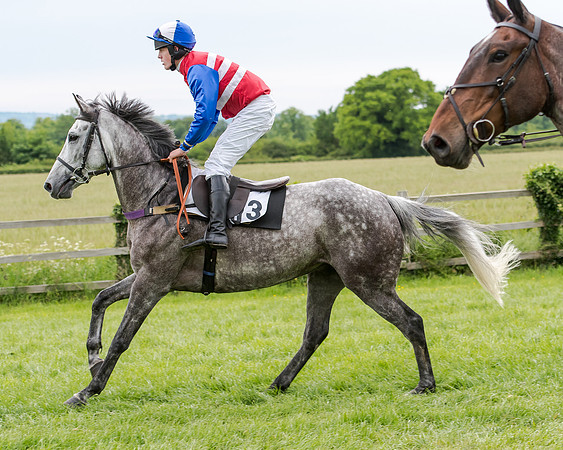 Berks and Bucks  (734 of 876)