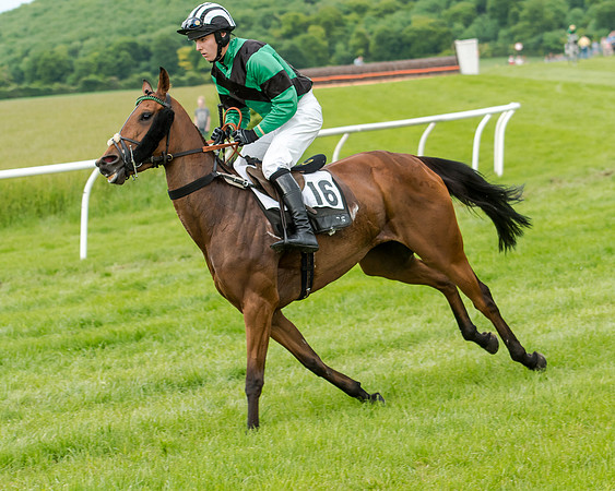 Berks and Bucks  (740 of 876)