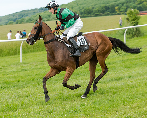 Berks and Bucks  (742 of 876)