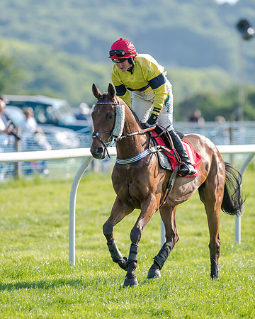Anglo-Irish Night -  (427 of 675)