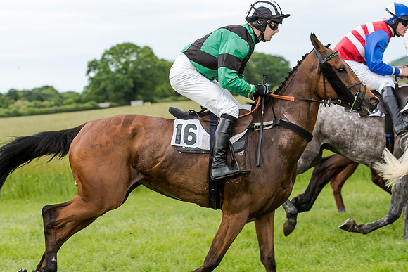 Berks and Bucks  (798 of 876)