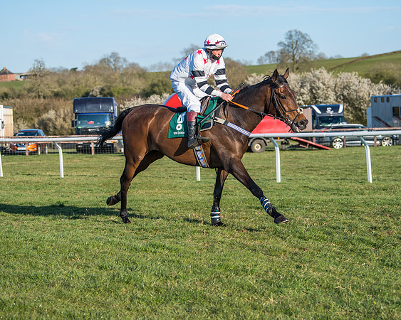 DSC_2091