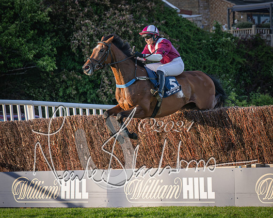 Race 5 - tipsterreviews.co.uk handicap (30 of 107)
