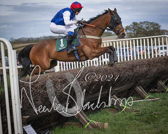 Race 4 - Bicester Gold Cup mixed Open (47 of 89)