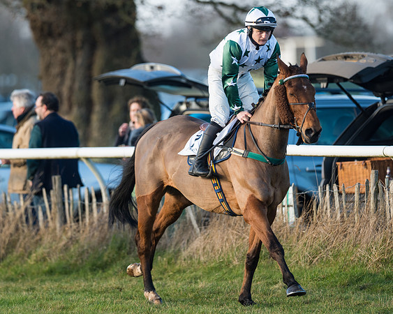 Race 2 - PPORA Novice Riders  (12 of 205)