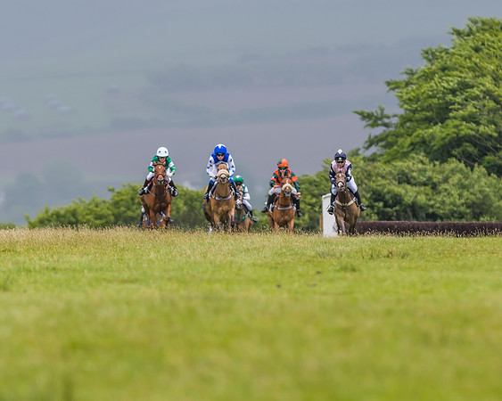 Division 1 of the 138cm Pony Race