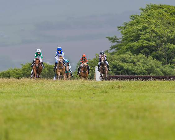Division 1 of the 138cm Pony Race