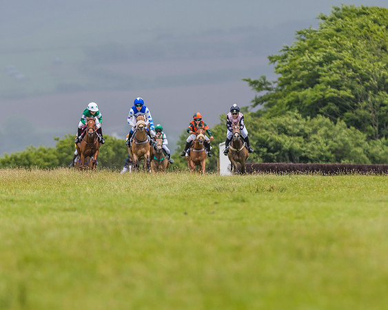Division 1 of the 138cm Pony Race