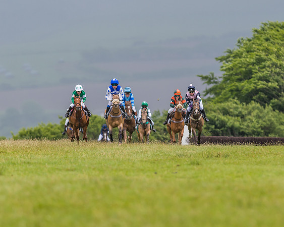Division 1 of the 138cm Pony Race