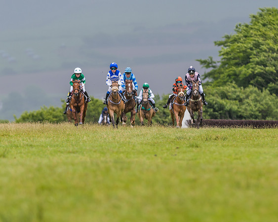 Division 1 of the 138cm Pony Race