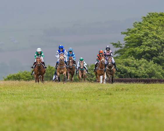 Division 1 of the 138cm Pony Race