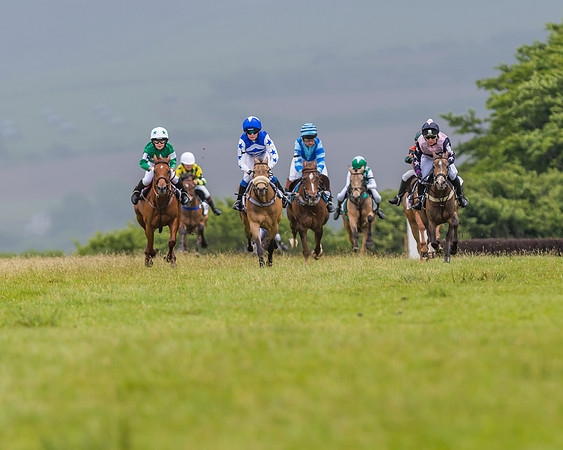 Division 1 of the 138cm Pony Race