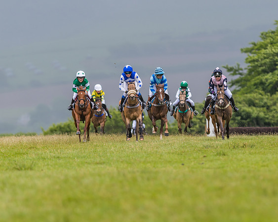 Division 1 of the 138cm Pony Race