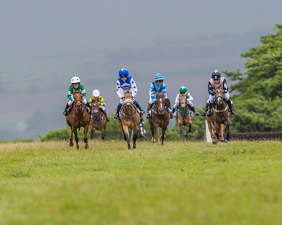 Division 1 of the 138cm Pony Race