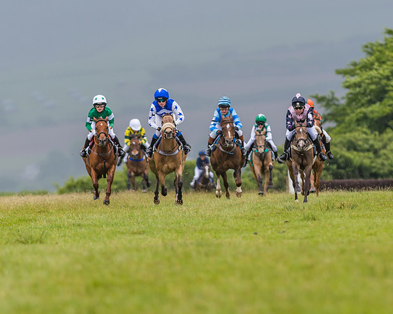 Division 1 of the 138cm Pony Race