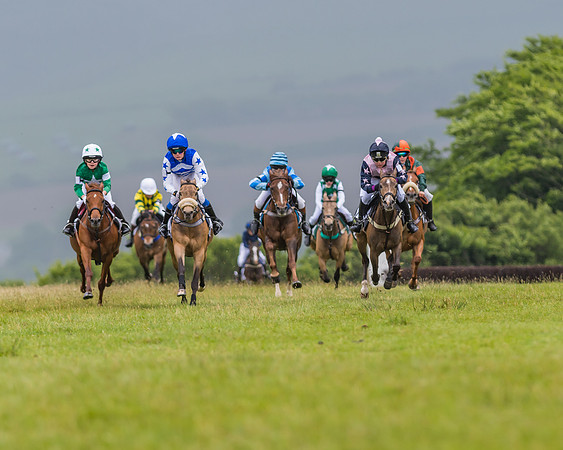 Division 1 of the 138cm Pony Race
