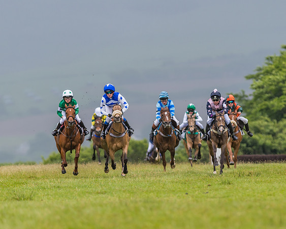 Division 1 of the 138cm Pony Race