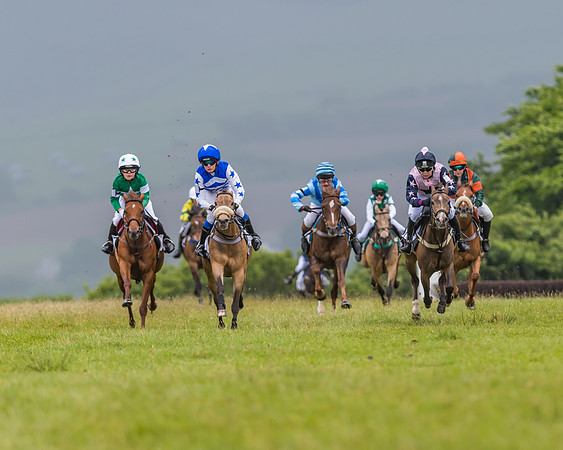 Division 1 of the 138cm Pony Race