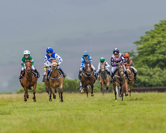Division 1 of the 138cm Pony Race