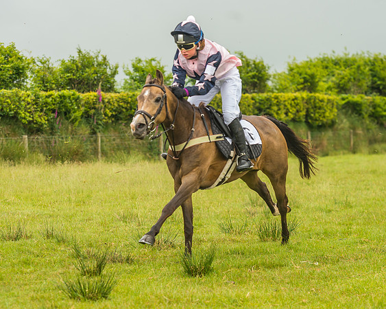 Division 1 of the 138cm Pony Race