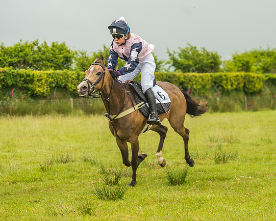 Division 1 of the 138cm Pony Race